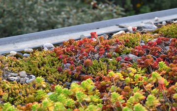 the cost of Wallacestone green roof installation