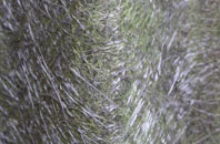 Wallacestone fibreglass roof work